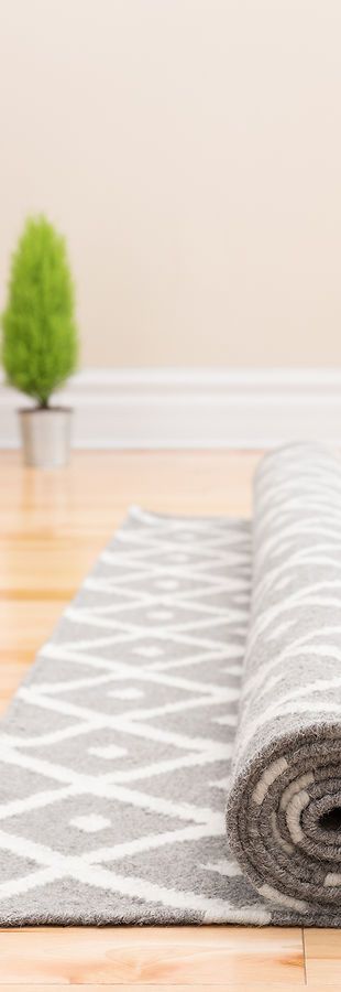 A rug is rolled up on a wooden floor next to a potted plant.