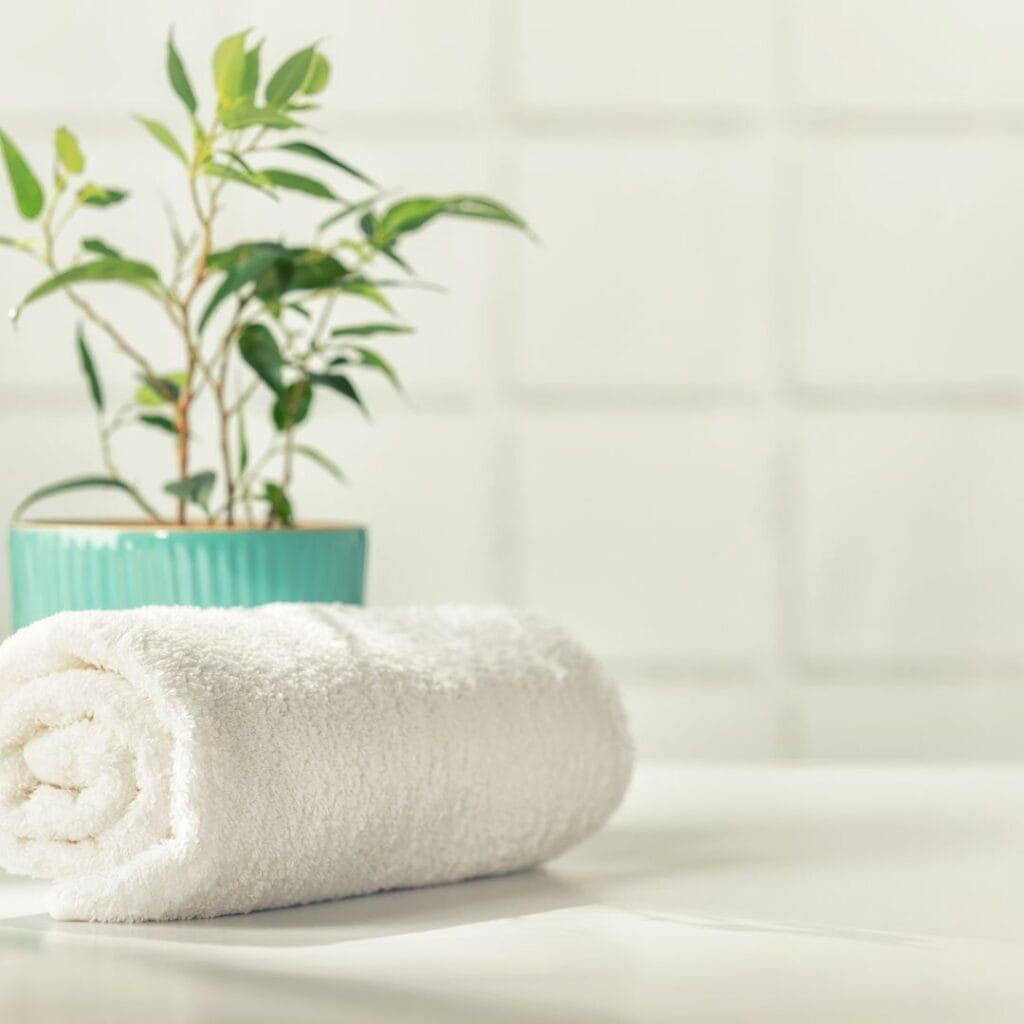 Rolled white towel beside a teal potted plant in front of white tiled wall.