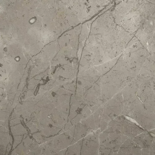 Gray marble tile with veining and varied markings.