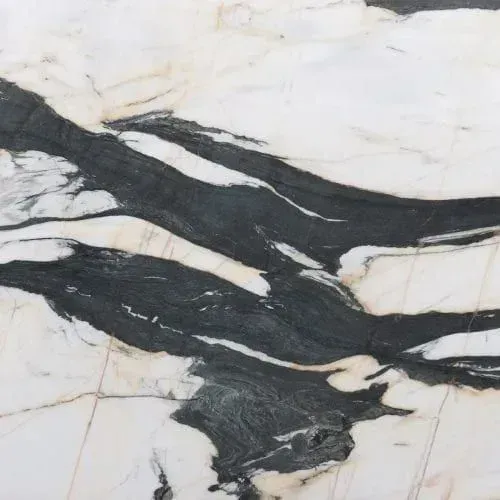 White marble slab with black and gray veining.
