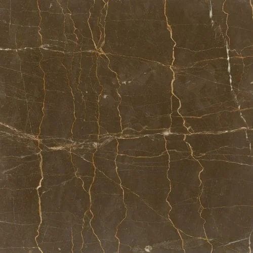 Dark brown marble with golden veining.