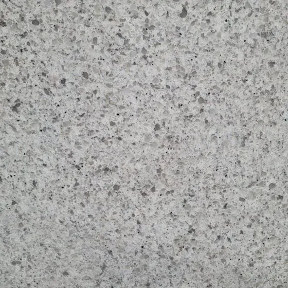 Textured gray surface speckled with dark and light flecks.