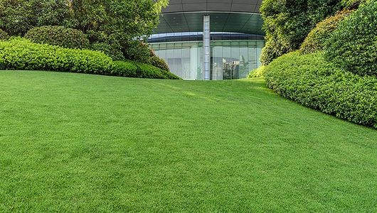 Commercial lawn