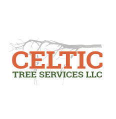 A logo for celtic tree services llc with a tree branch in the background.