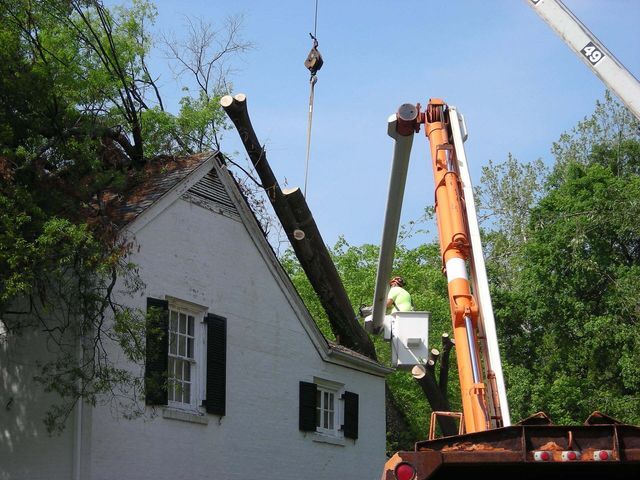 Storm Damage Cleanup