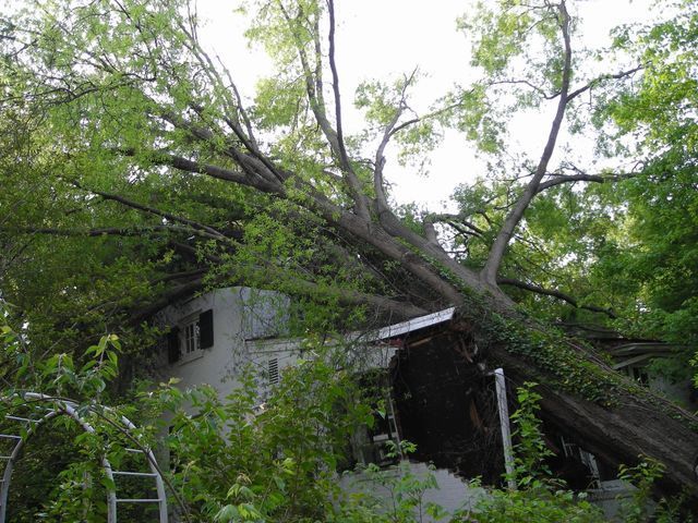 Storm Damage Cleanup