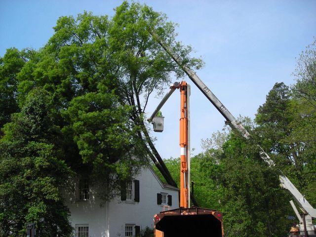 Storm Damage Cleanup
