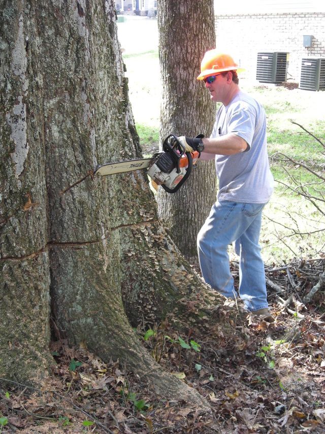 Tree Cutting