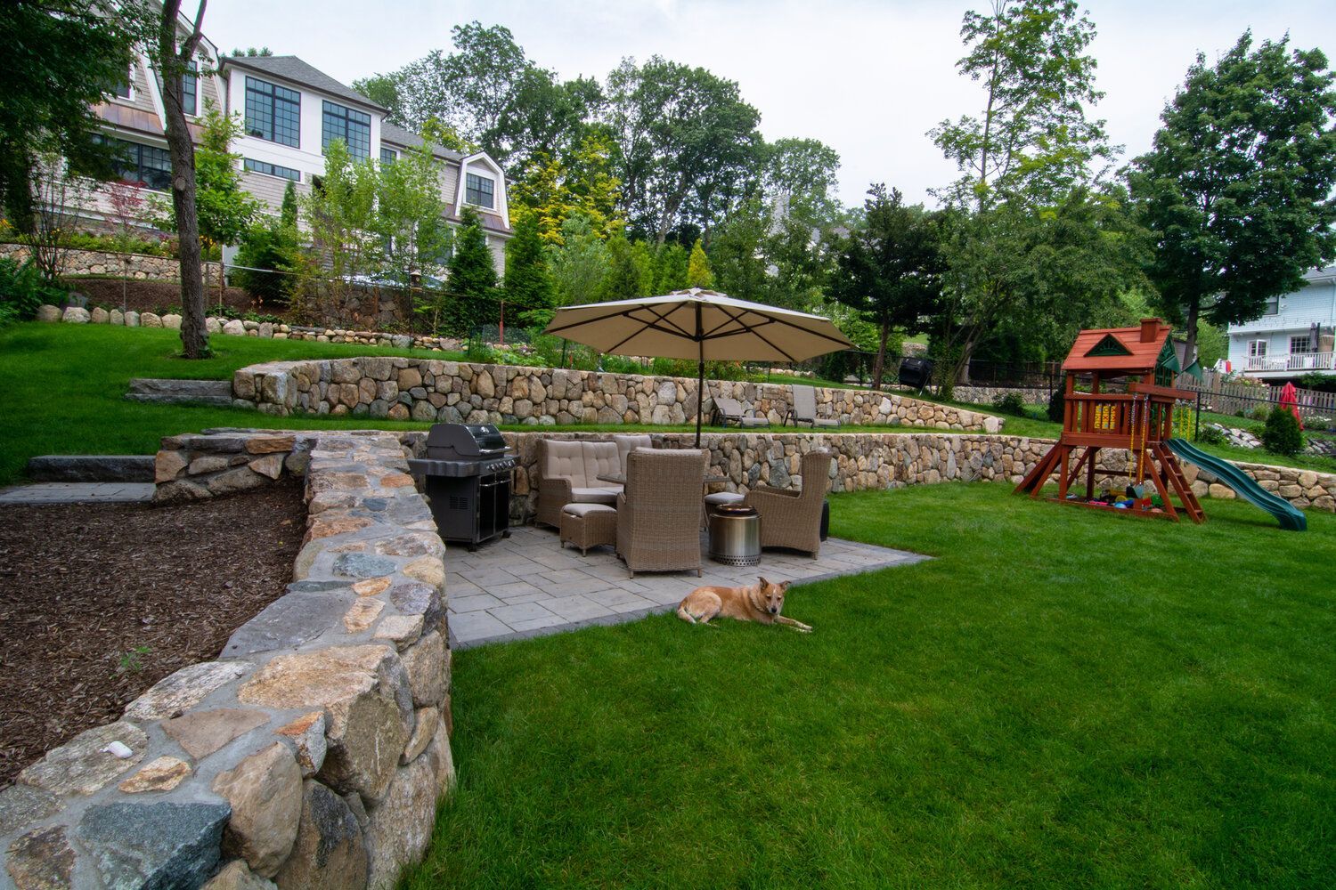 There is a dog laying on the grass in the backyard.