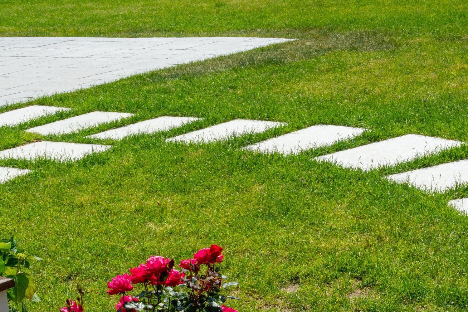 A row of white stepping stones leading through a lush green lawn.