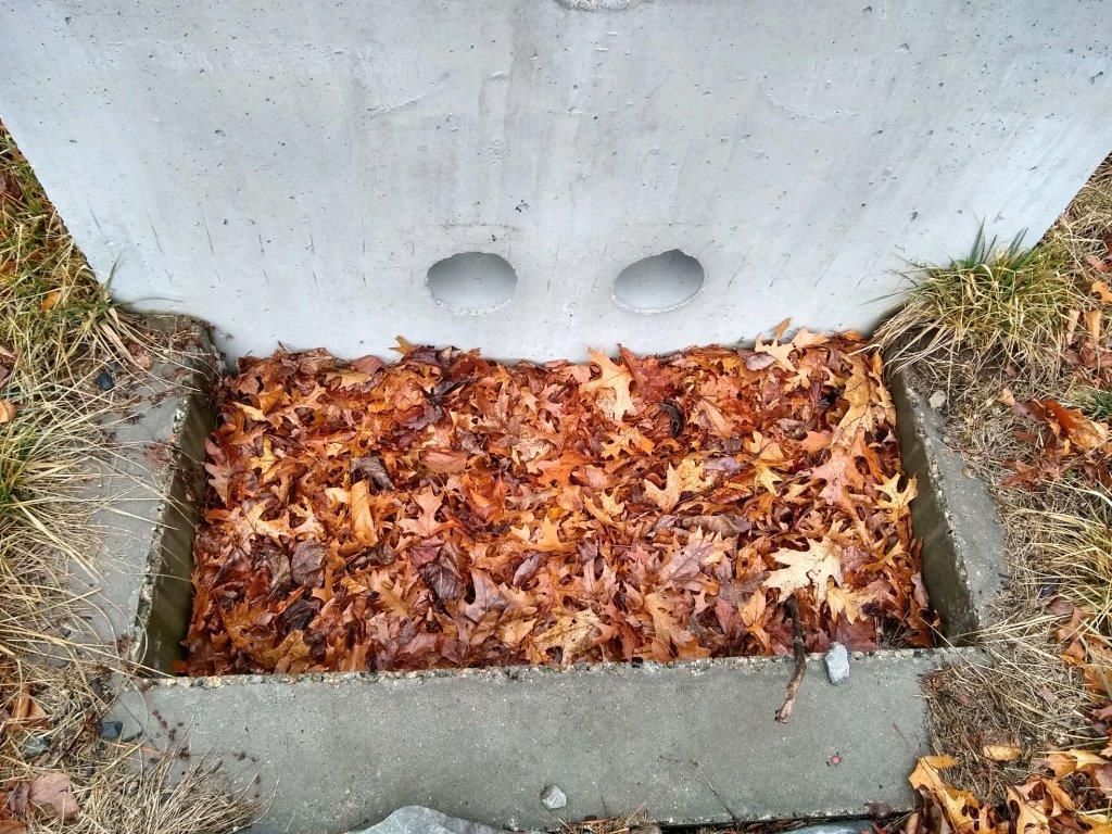 A concrete box filled with leaves on the ground.