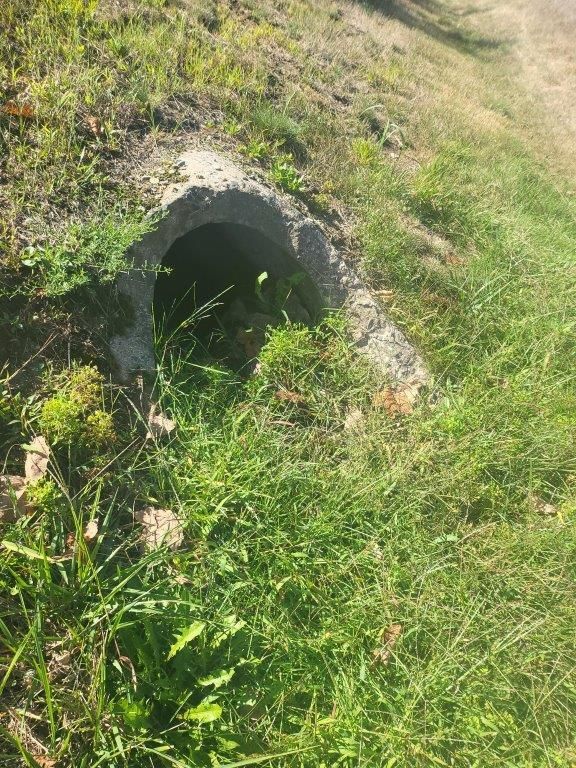 A concrete pipe is sitting in the grass next to a dirt road.