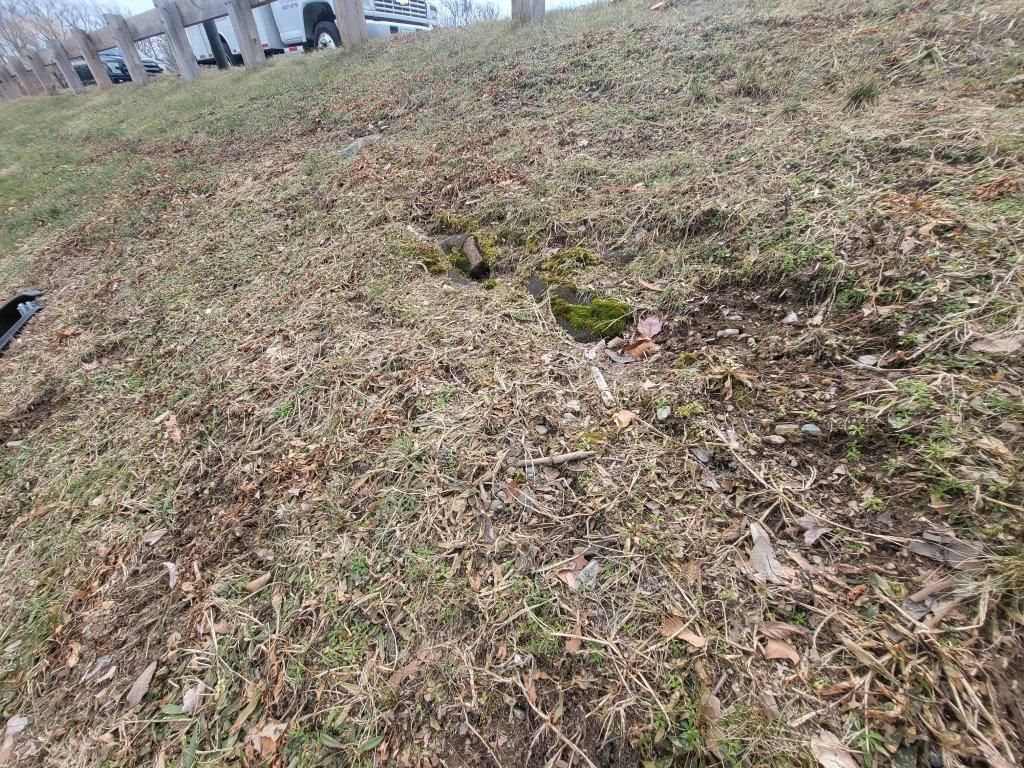 A black bird is standing in the grass near a fence.