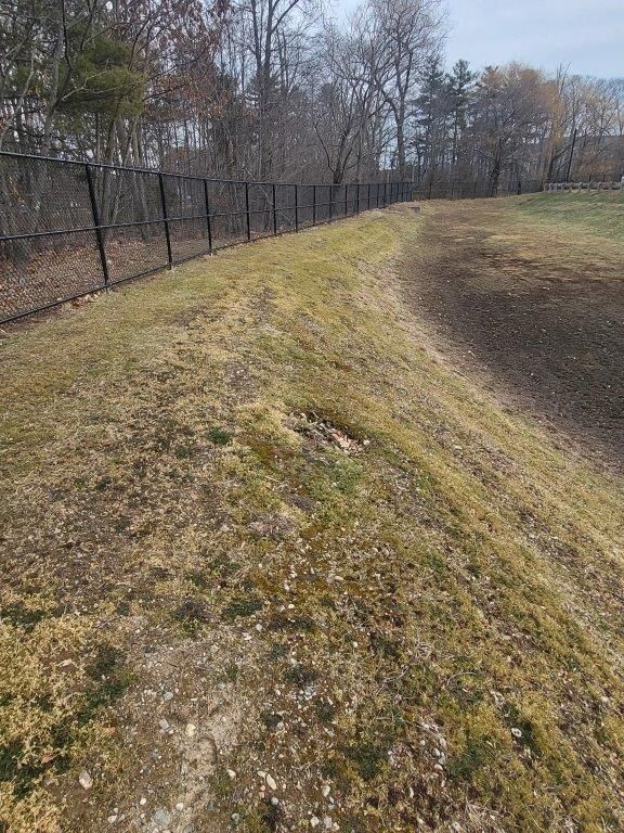 A fence surrounds a grassy hill with trees in the background.