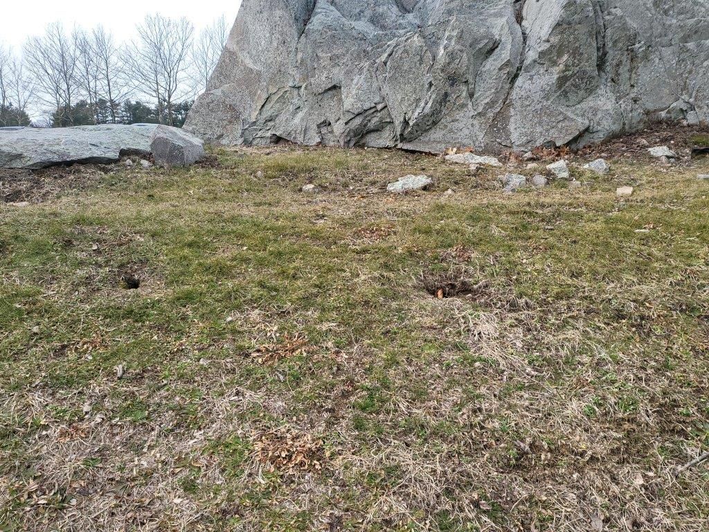 A field of grass and rocks with a large rock in the background.