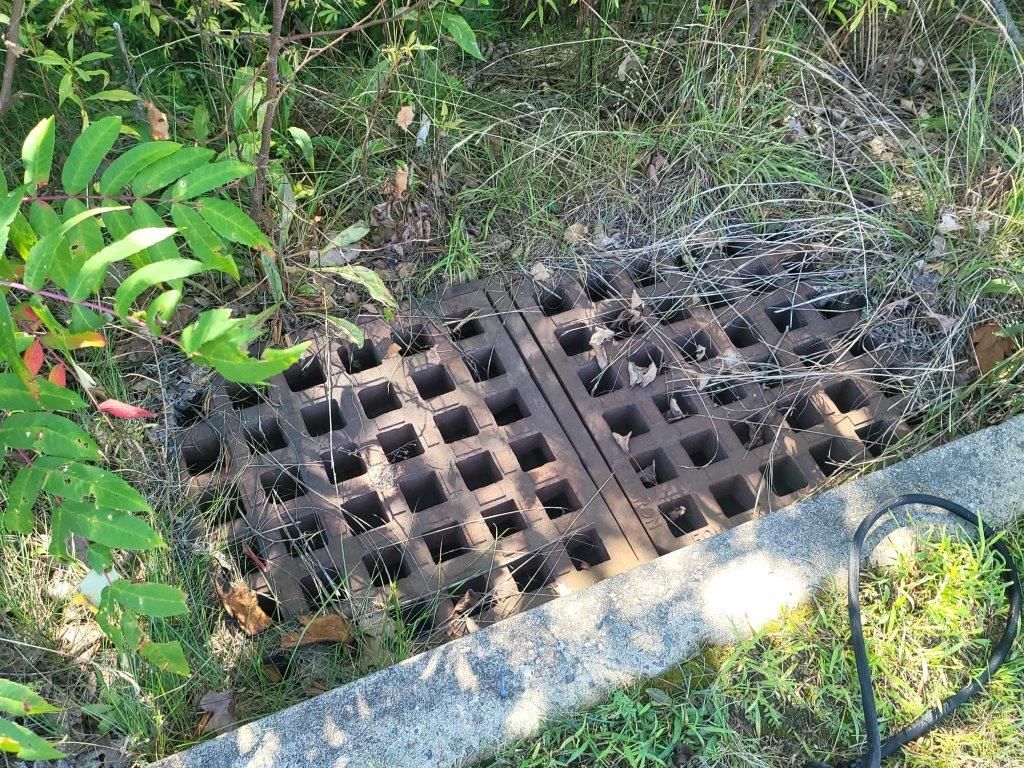 A manhole cover is sitting in the grass next to a concrete curb.