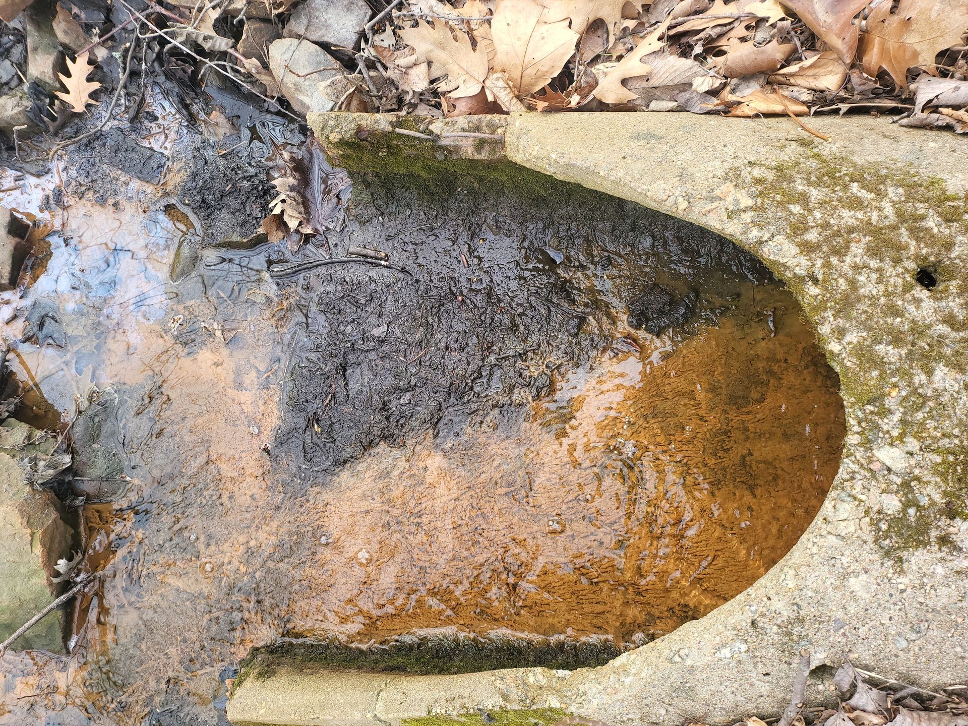 A close up of a rock with water coming out of it.