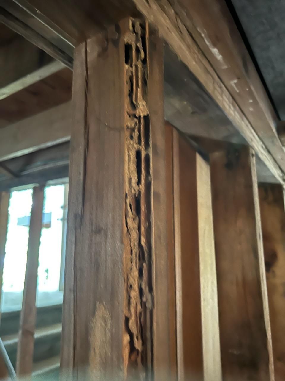 Downstairs Hallway Before Renovation