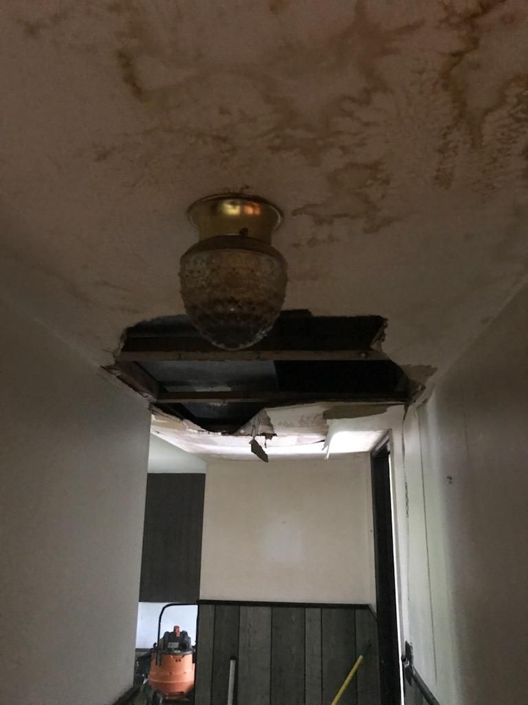 Downstairs Hallway Ceiling