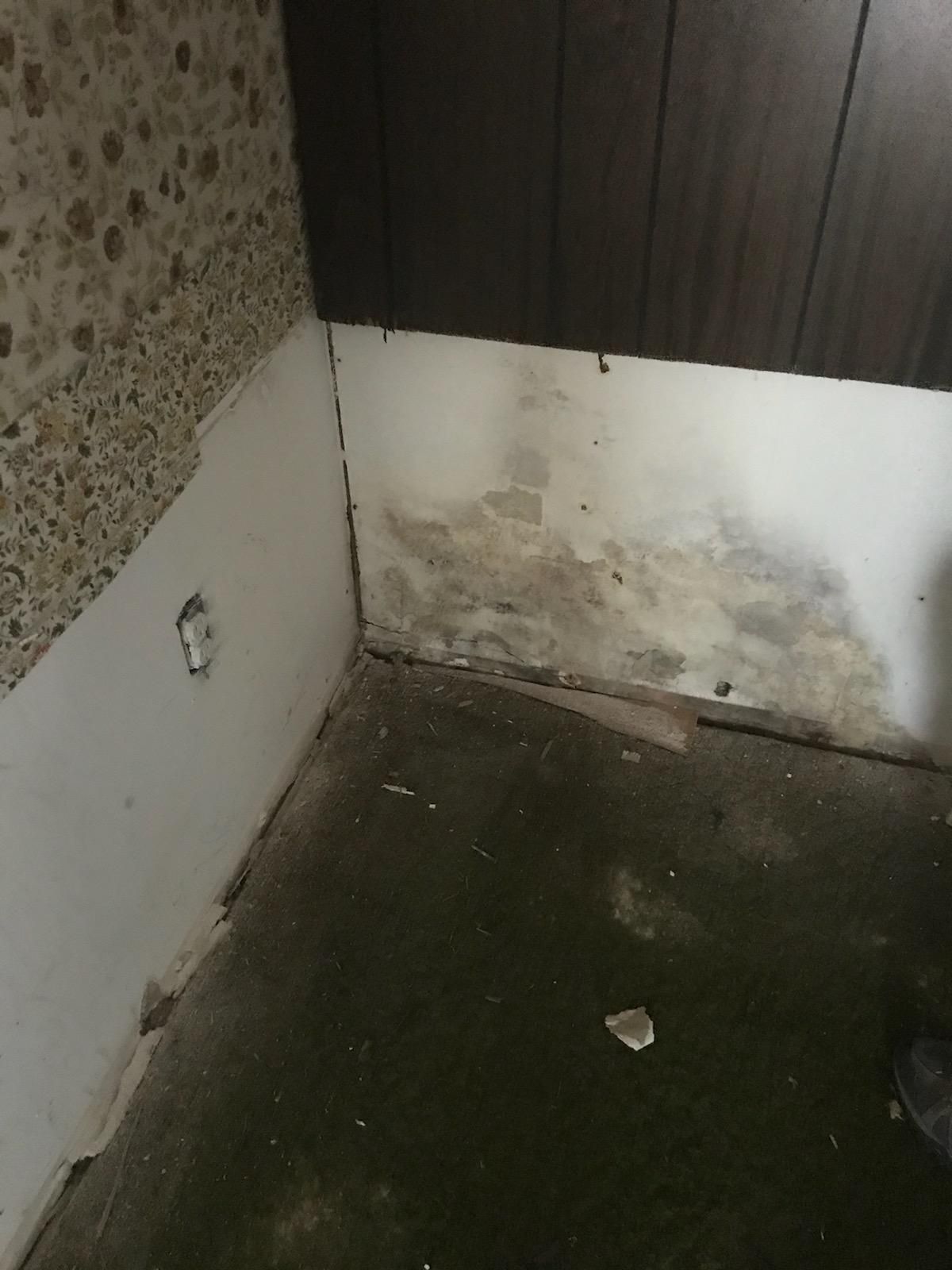 Family Room Before Renovation