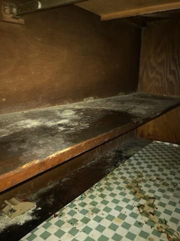 Moldy Kitchen Cabinets