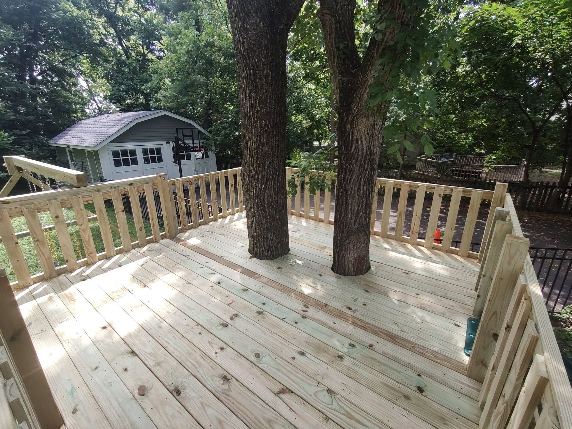 Wooden deck under construction with railings and two trees growing through the floorboards.