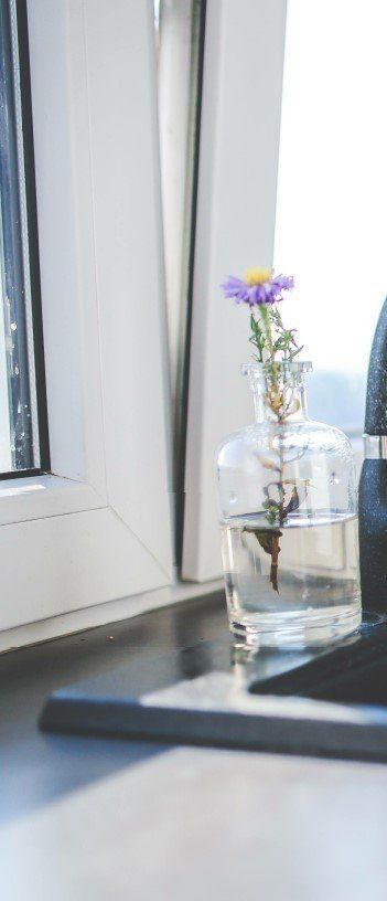A single purple flower in a clear glass bottle sits on a dark windowsill next to a white window frame.