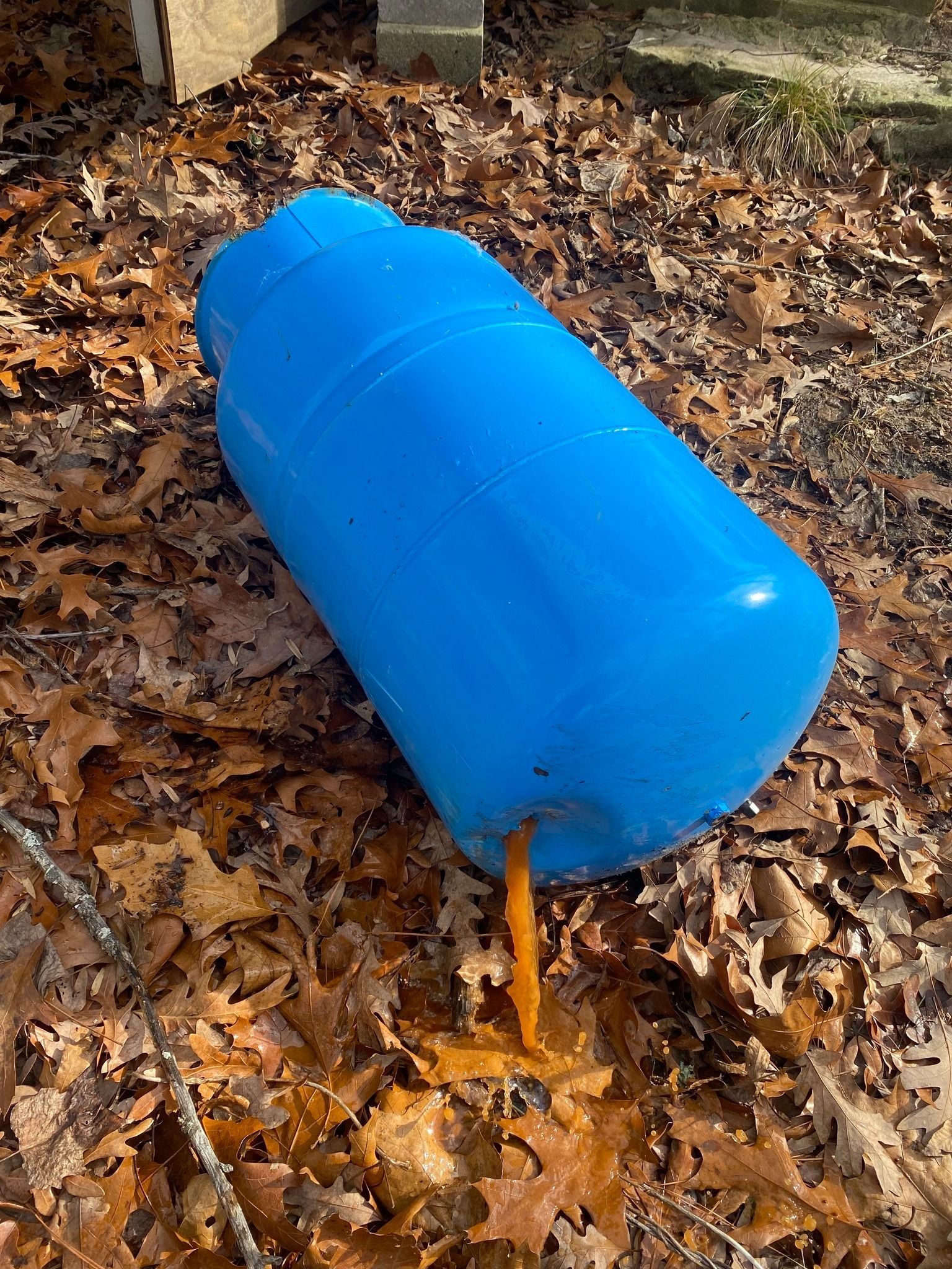 A blue plastic barrel lying on dried leaves, leaking an orange, thick liquid onto the ground.