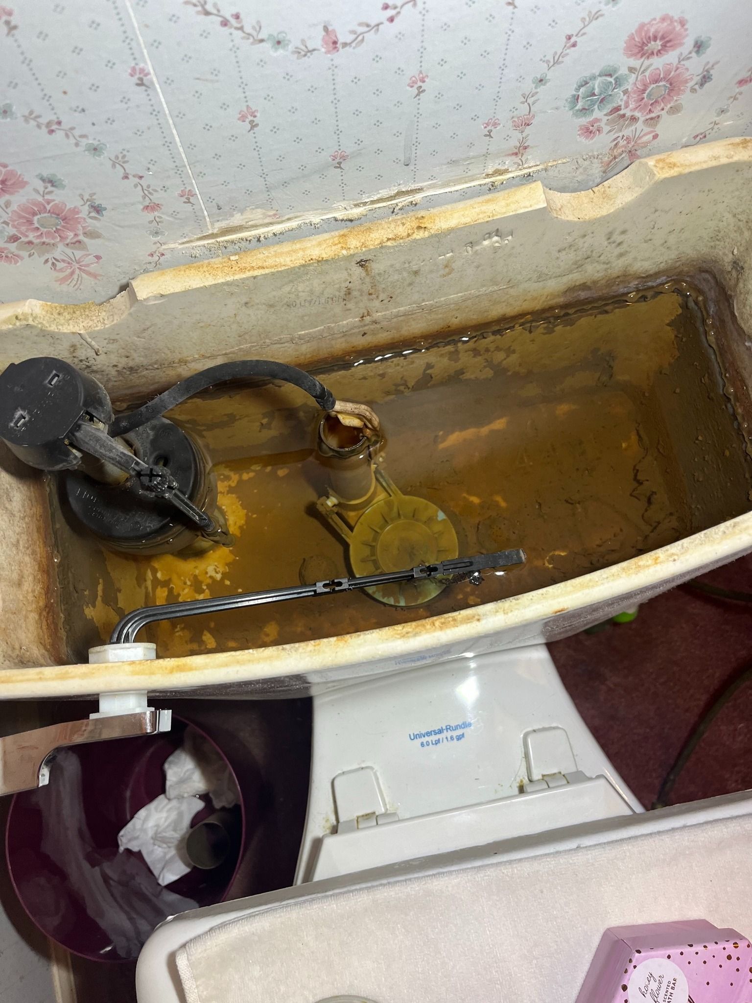 The open tank of a toilet reveals murky, yellowish water and a standard internal fill valve and flush mechanism.