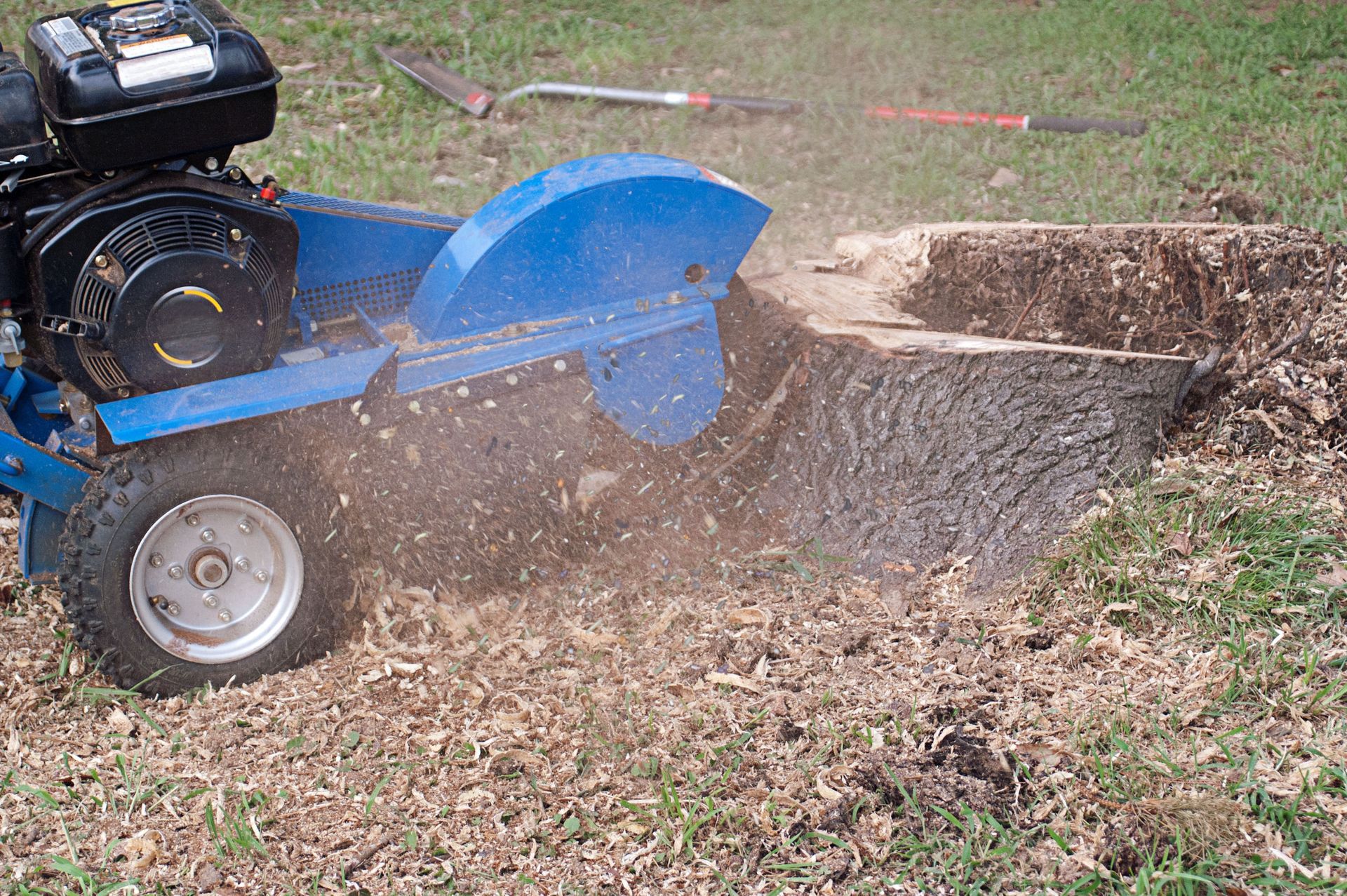 stump grinding service