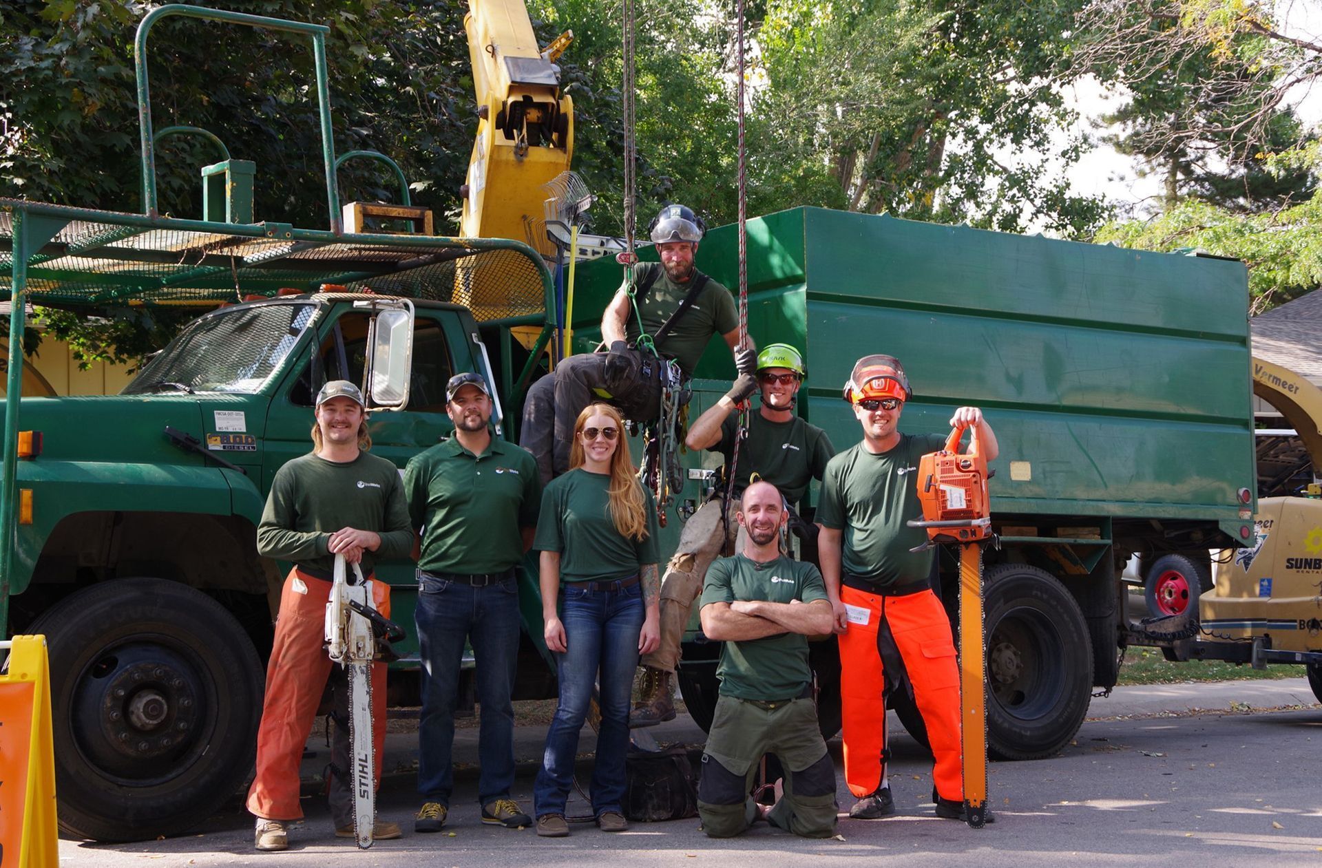 Tree Removal Services Crew