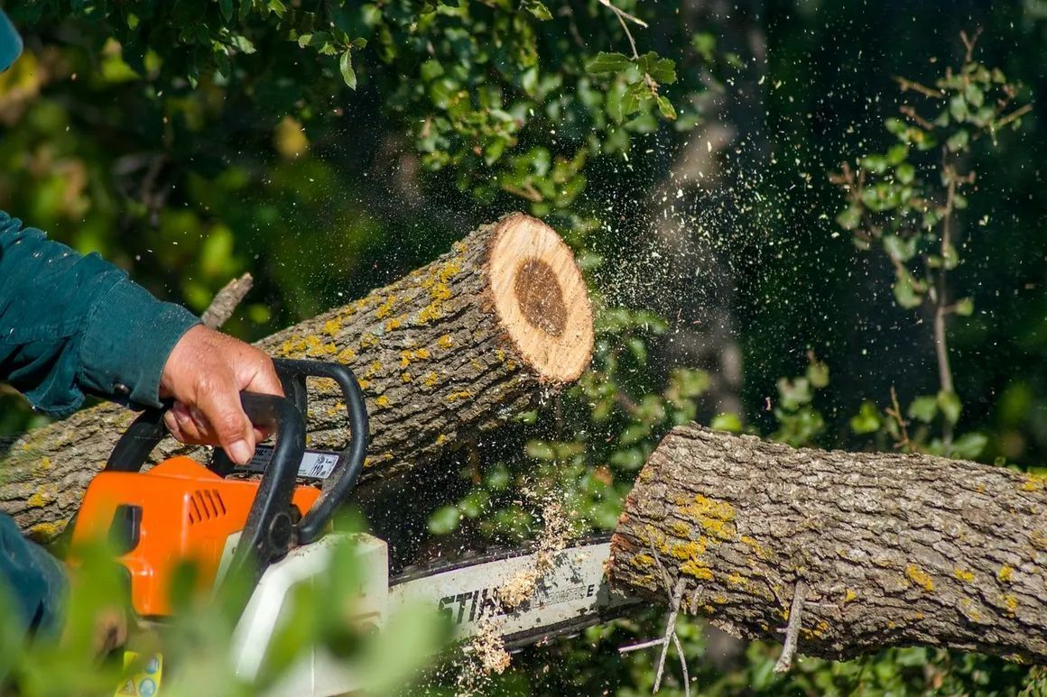 Person cutting a tree branch with an orange and white chainsaw, wood chips flying.