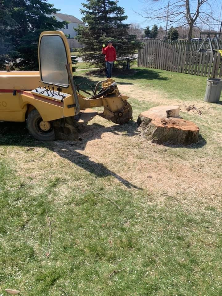 A man is standing next to a stump grinder in a yard.