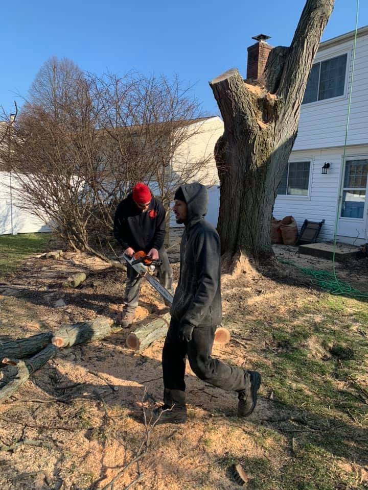 Two men are cutting a tree stump with a chainsaw.