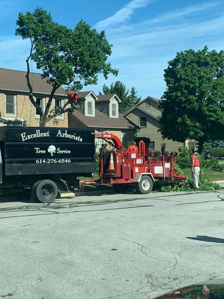 A truck that says excellent arborists is parked in front of a house.