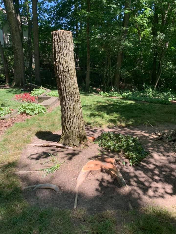 A tree stump is sitting in the middle of a yard.
