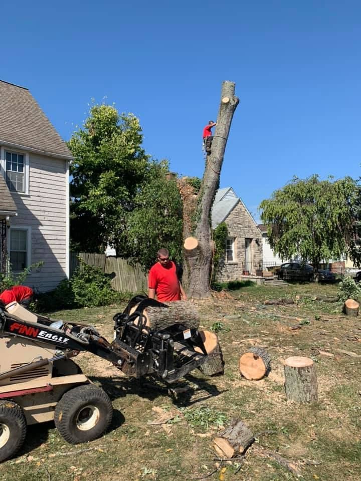 A man is standing next to a tree stump in a yard.