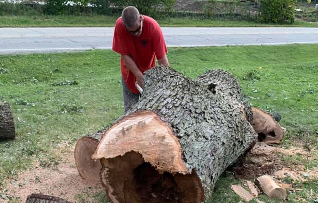 A man is cutting a large tree trunk with a chainsaw.