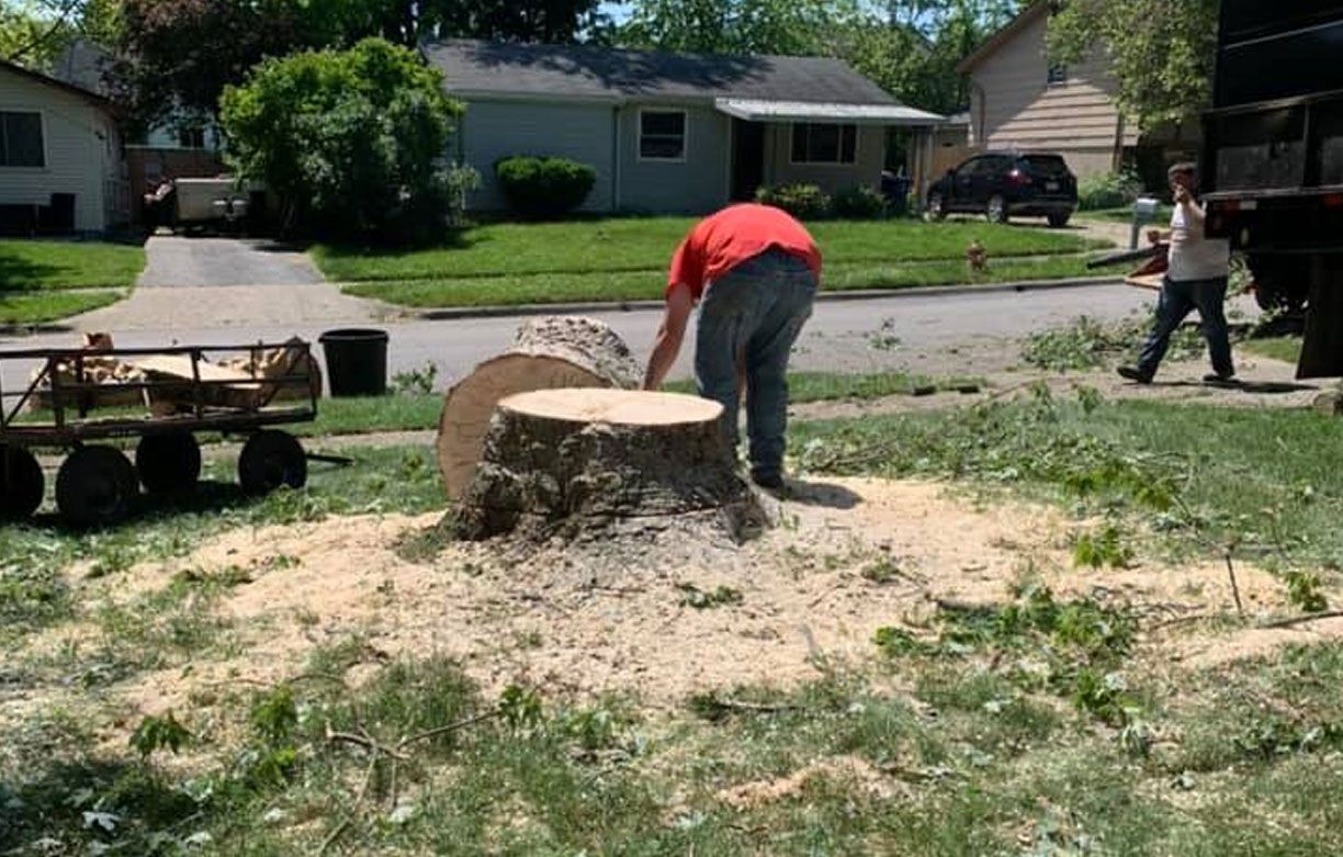 A man is standing next to a tree stump in a yard.