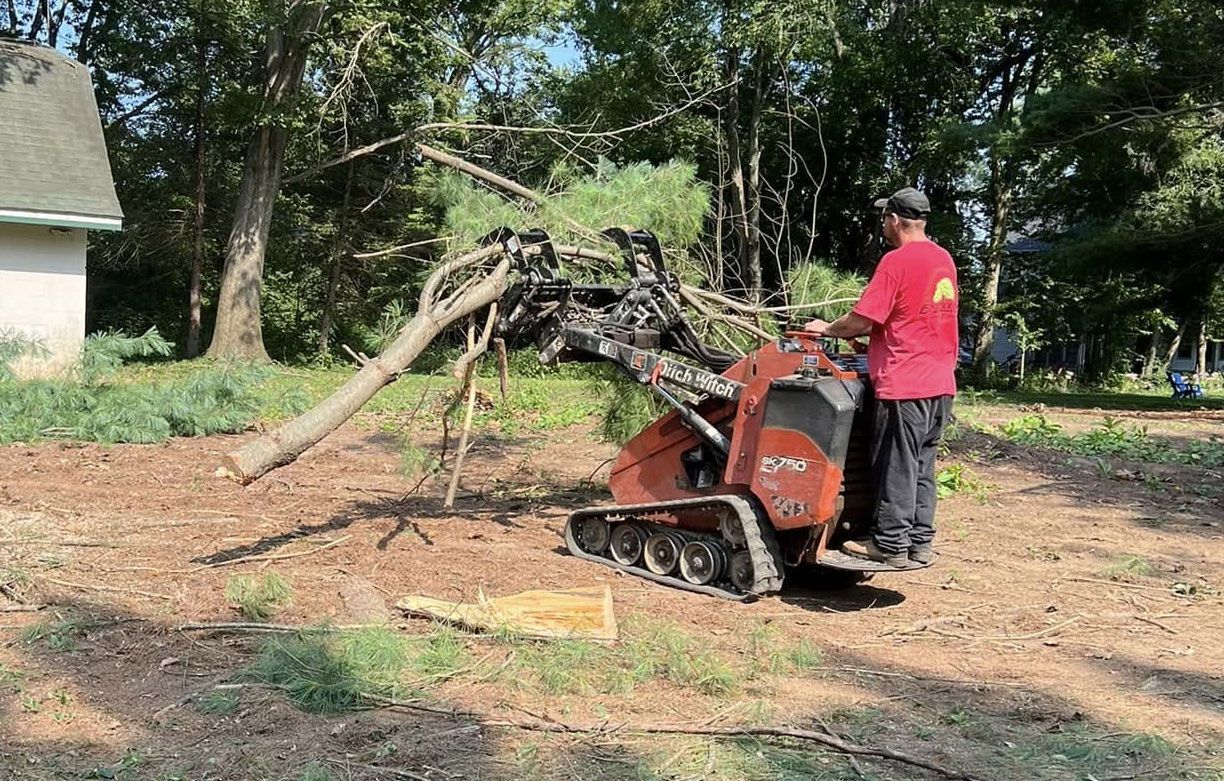 A man is using a machine to remove a tree in a yard.