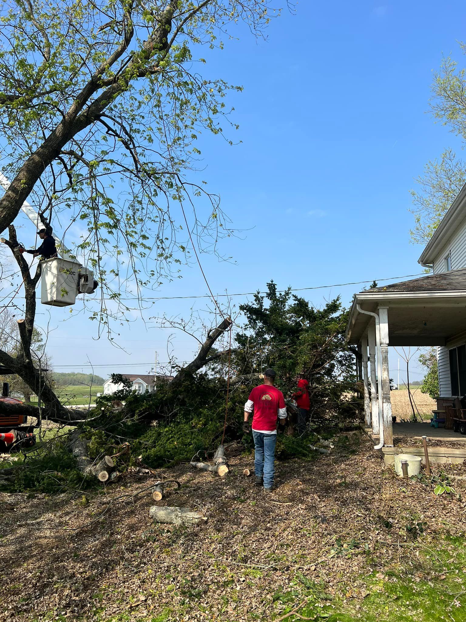 A group of people are working on a tree in front of a house.