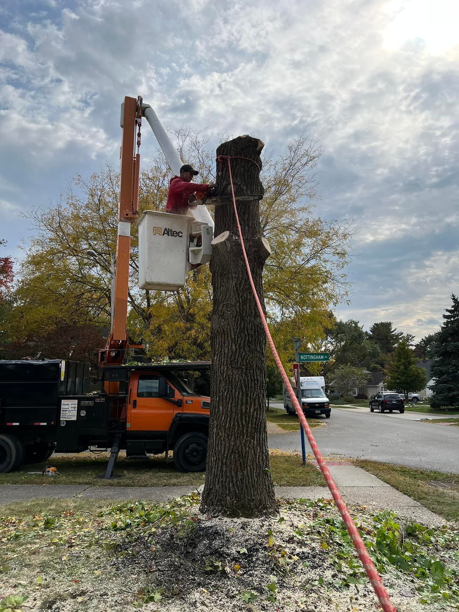 A man in a bucket is cutting down a tree.