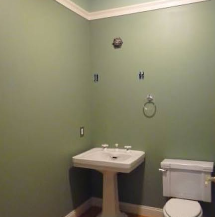 Small empty bathroom with green walls, a white pedestal sink, and a toilet beside it.