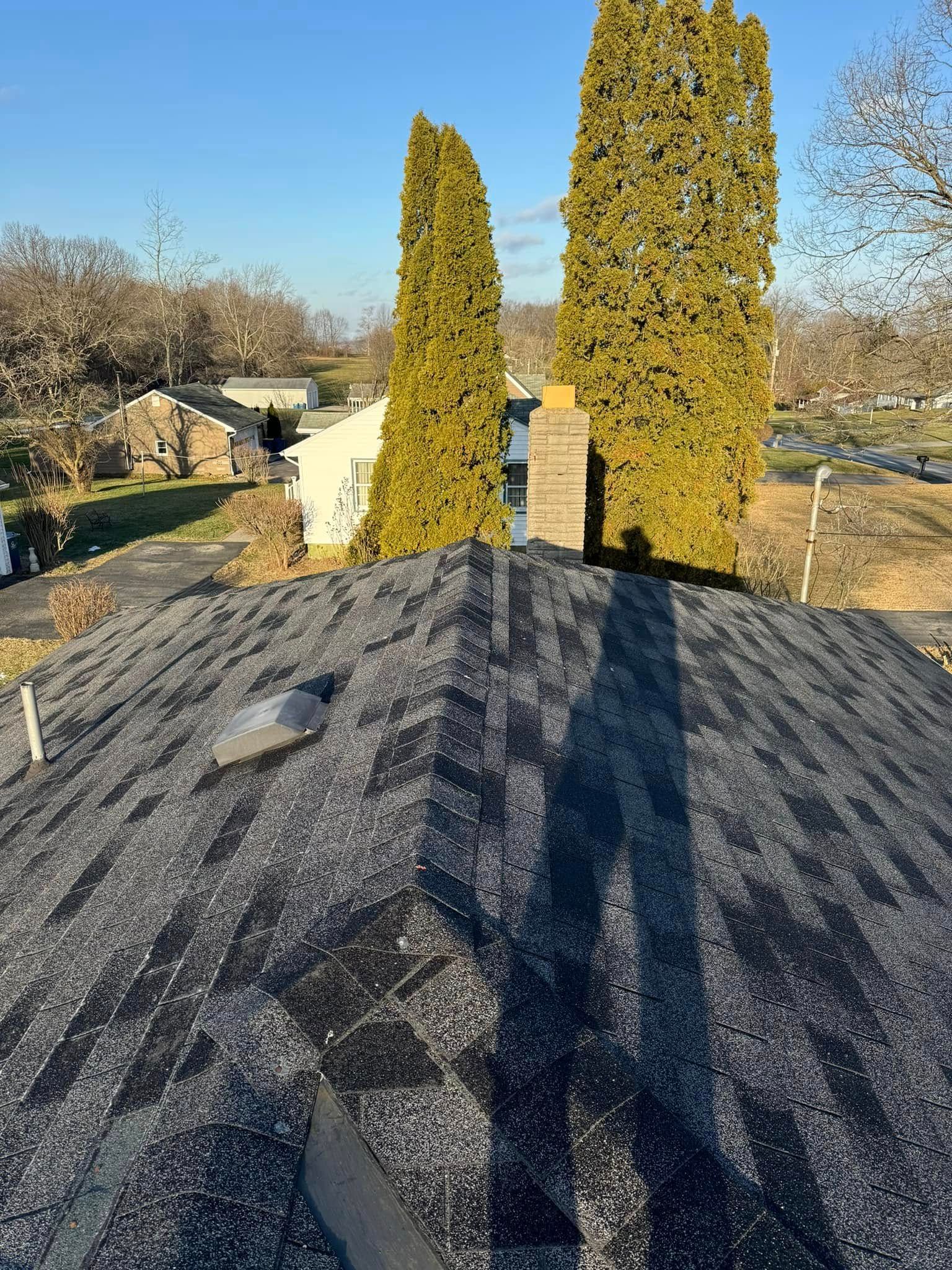 A roof with a chimney and two trees on it.