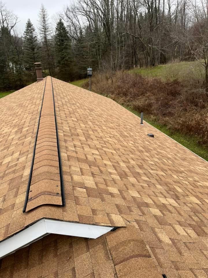 A close up of a roof with a chimney and trees in the background.