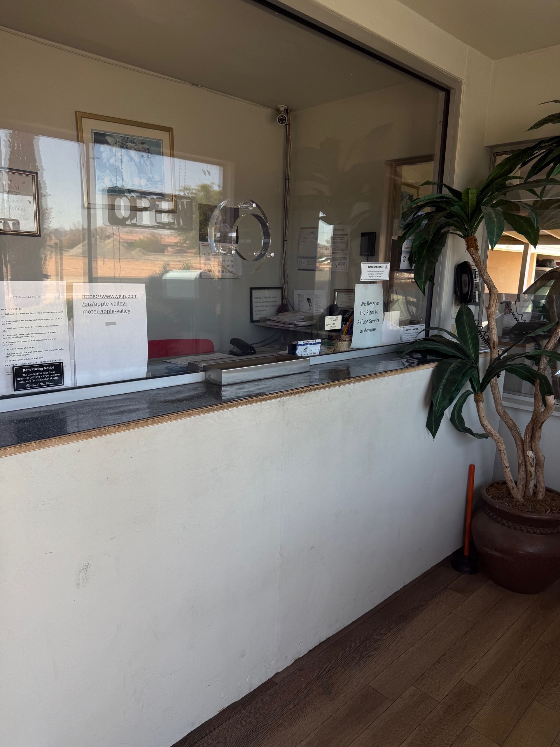 A counter in a store with a plant in front of it