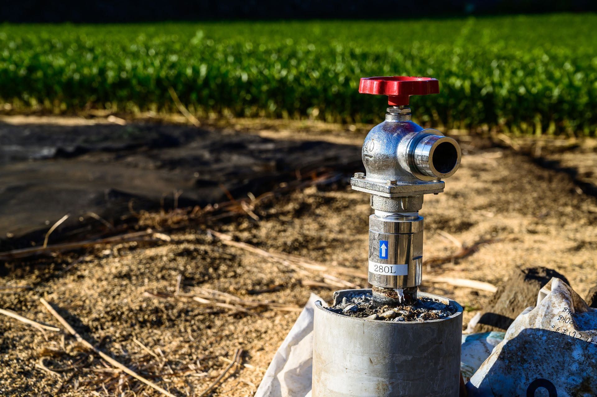 Irrigation water hydrant with red valve in a dry field, with crops in the background