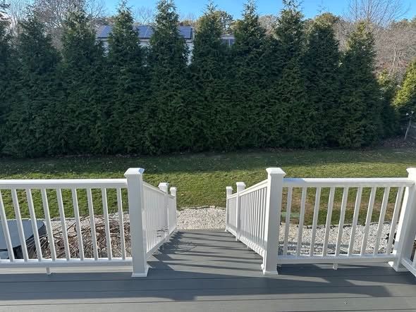 Front porch steps with white railings leading to a green lawn and tall hedges beyond.