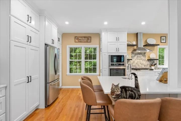 Modern kitchen with white cabinets, stainless steel appliances, and a tabby cat on a countertop.