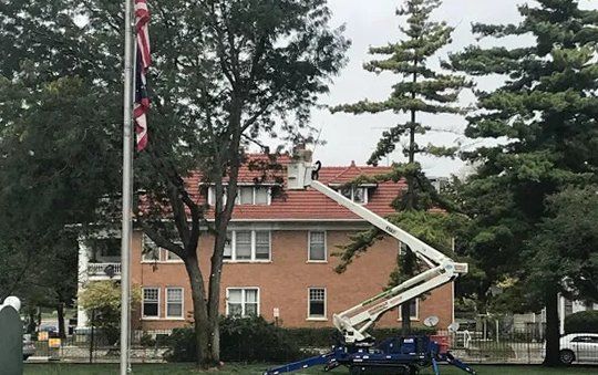 Tree Service Cardiff